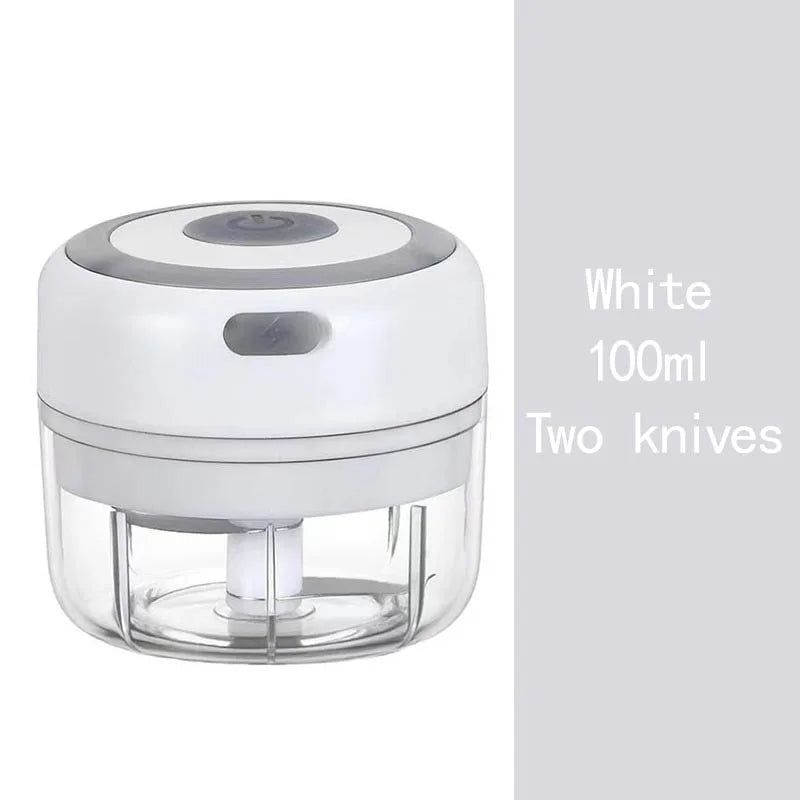 Multifunctional Electric Garlic Chopper 100/250mL Portable Vegetable Grinder Onion Mixer Mashing Machine for Kitchen