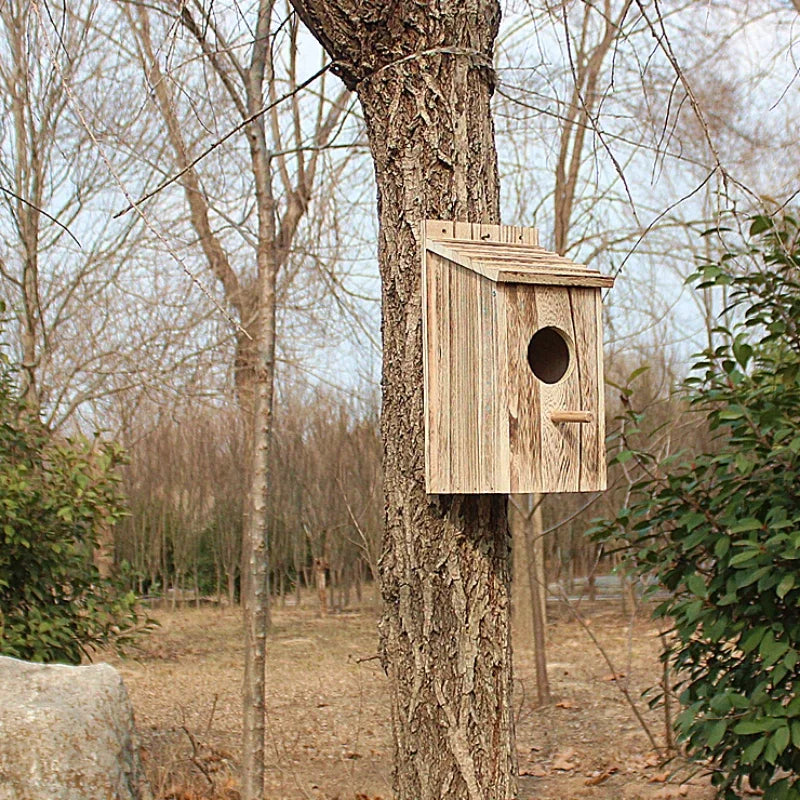 Intelligent Visible Wooden Bird House/Bird Nest/Bird Nest HD Pixel Mobile Phone Remote Bird Observation